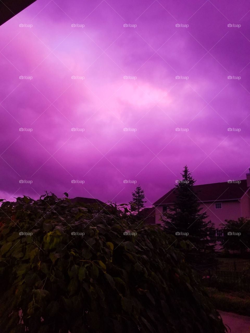 purple sky after a storm