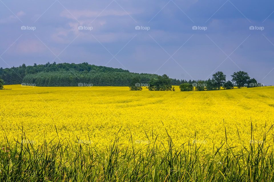 Beautiful countryside view