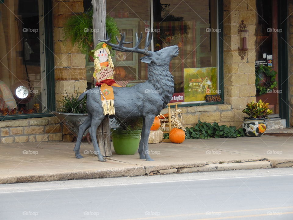 moose Halloween π. This is a picture of a moose statue that is on display out front of a gift shop. π£ π£ πΆ π π₯ π¨