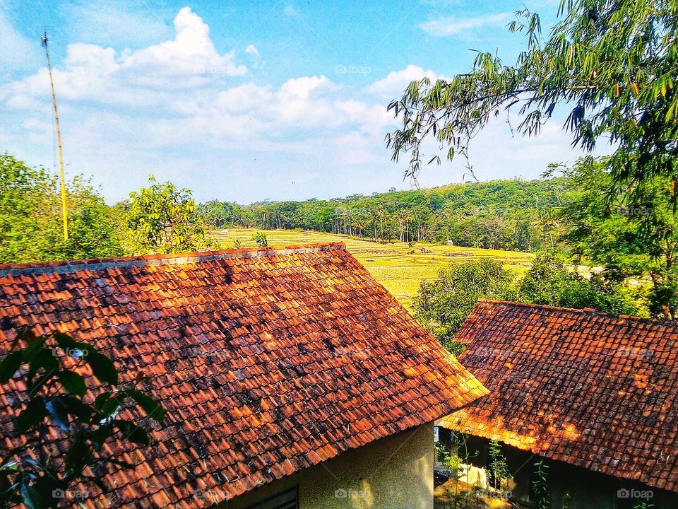 Beautiful view over the highlands