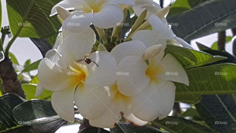 The wonders of mother nature.