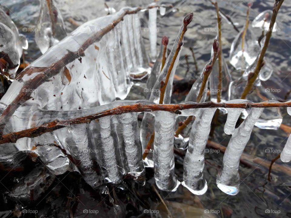 Frost, natürliche Eisskulptur