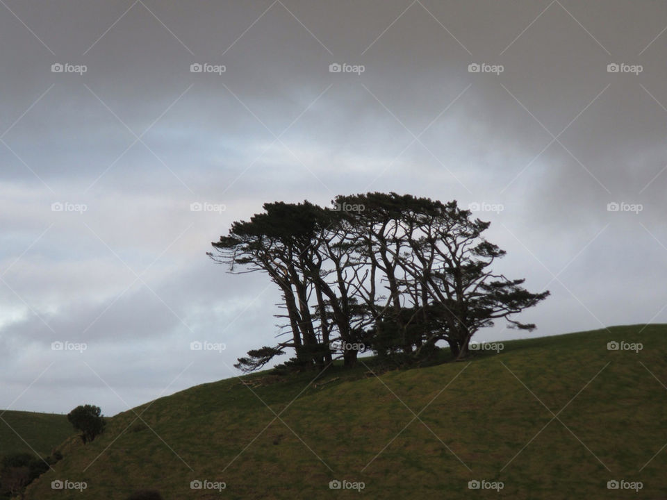 sky trees weather hill by fraserkitt