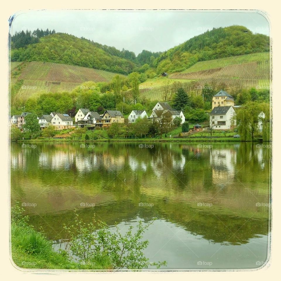 Green hills along the Mosel 