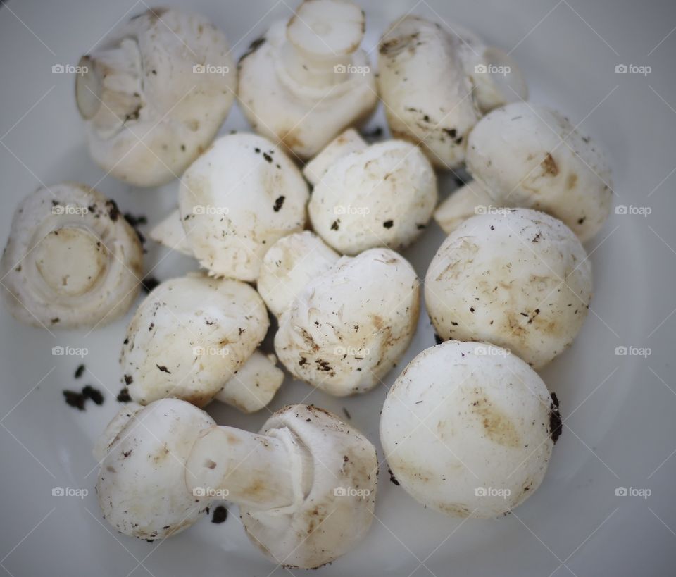 White mushroom 🍄 