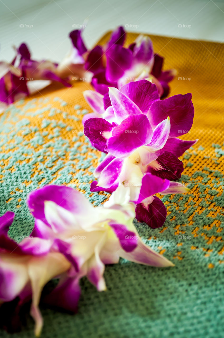 Fresh Hawaiian welcome lei offered to all visitors.