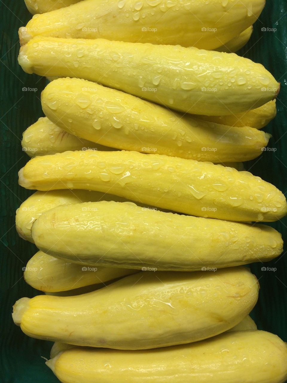 Yellow zucchini 