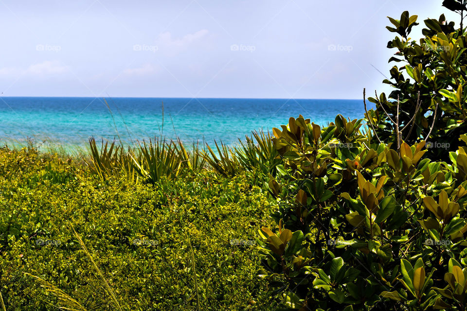 View of beach, Seaside Florida
