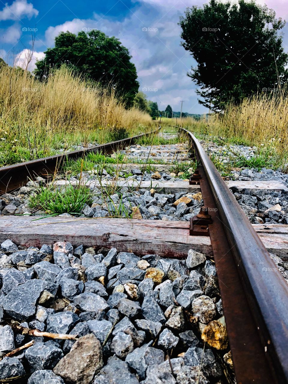 Train traks-Italy 