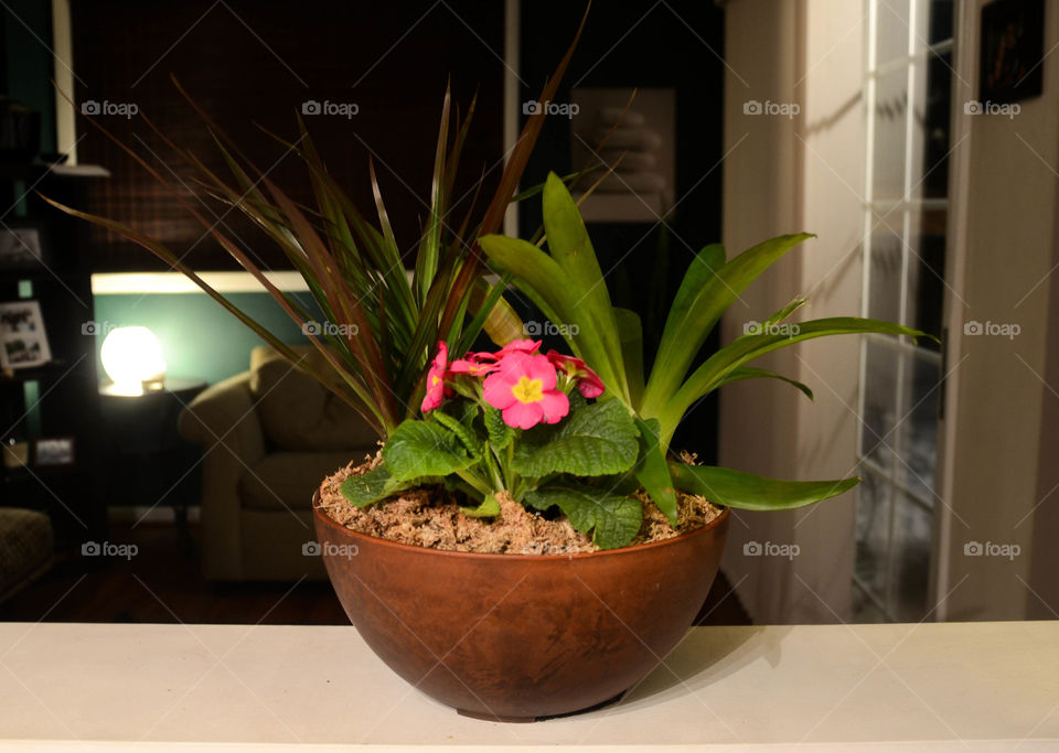 Flower Pot Artistic Expression