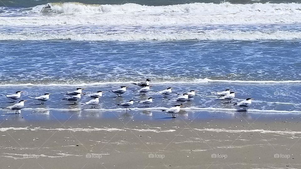 Standing in the Wind