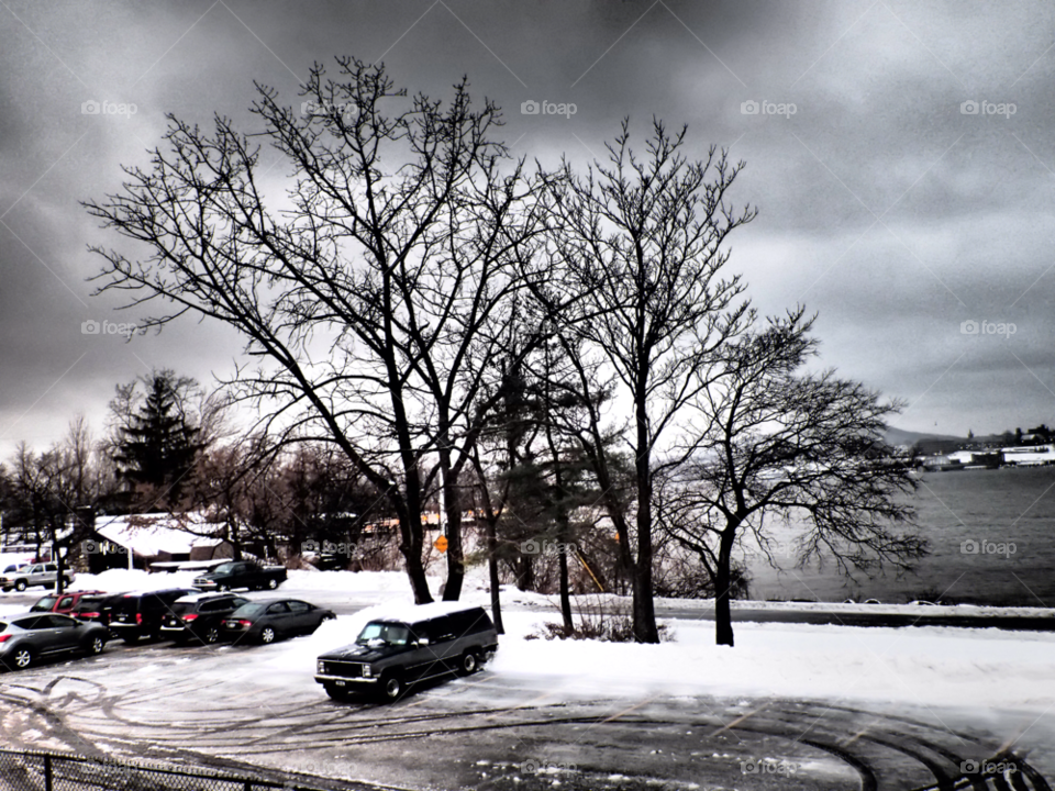 beacon ny snow morning trees by delvec