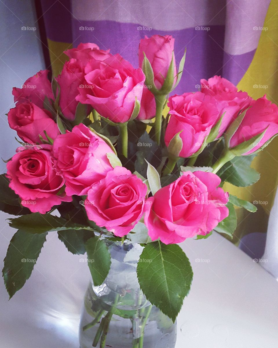 Love for Roses
