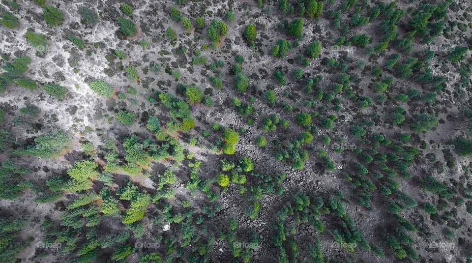 Bird's eye view, Nevada