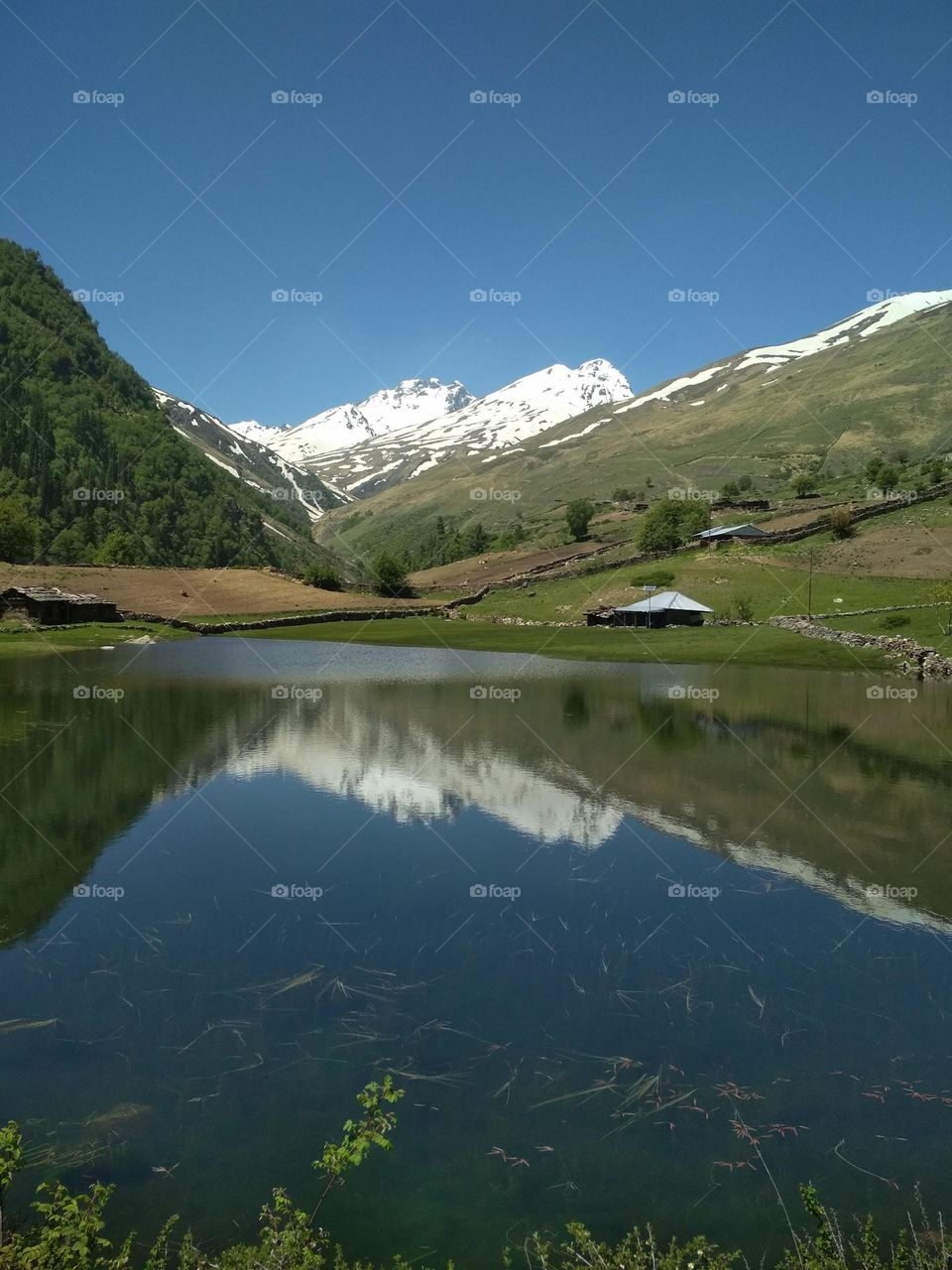 Amazing Mountain View In The Water.