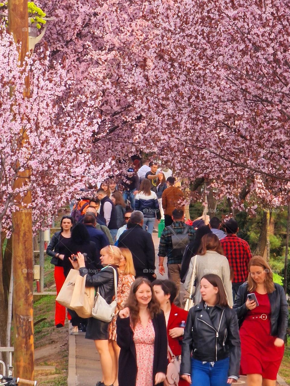 walk in the park in Timisoara