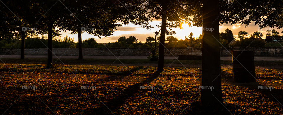 Sunset in the park of the castle of Semur