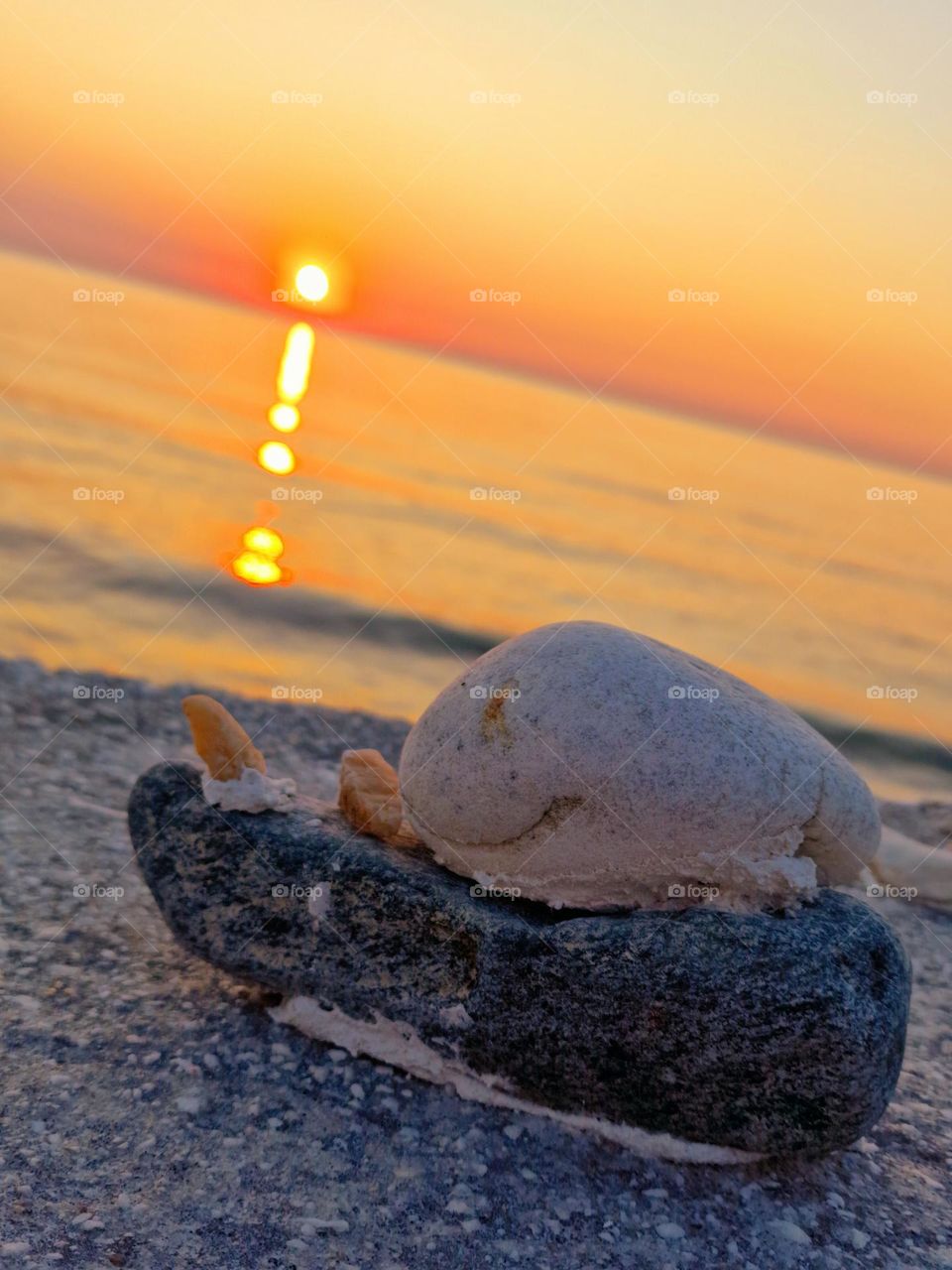 snail made of stones