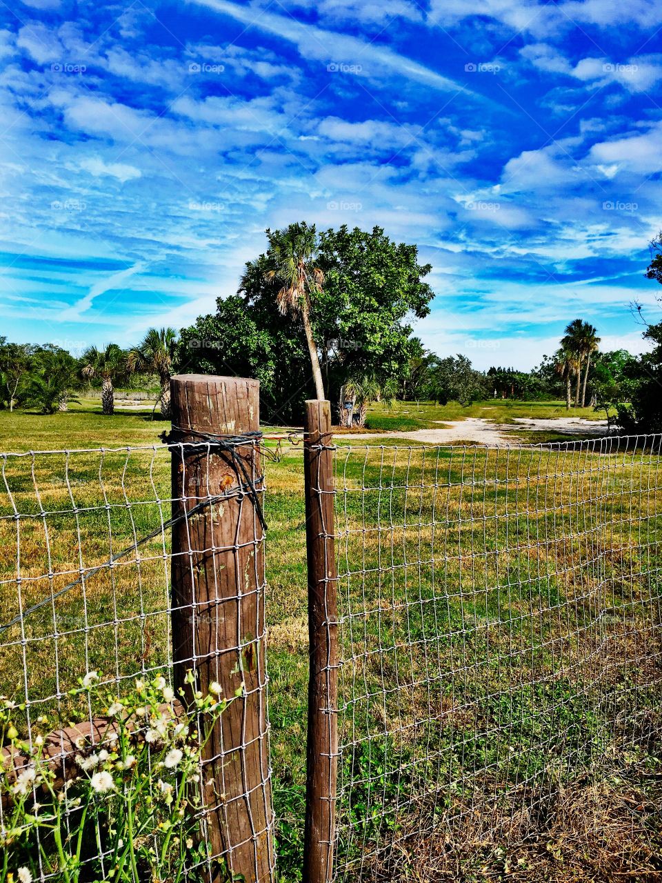 Barbed wire fence with wooden post at farm