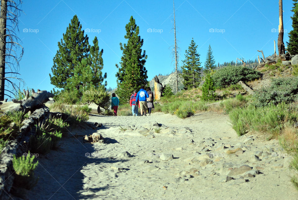 Hikers, people in hiking trail