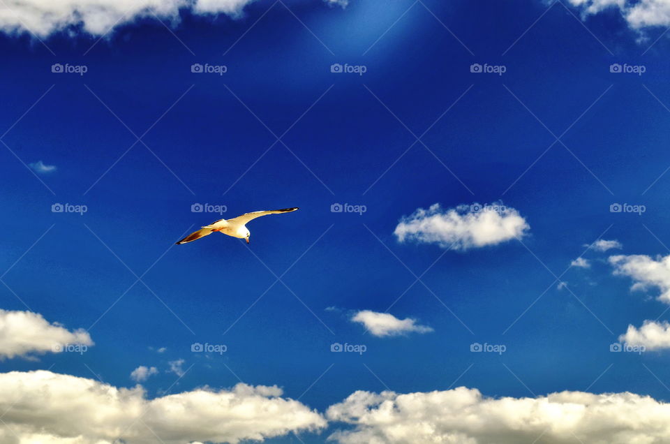 What exactly how freedom looks like 🦅