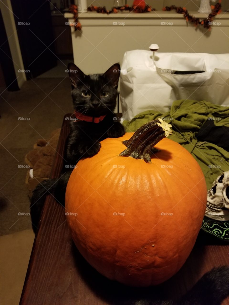this is my pumpkin!
