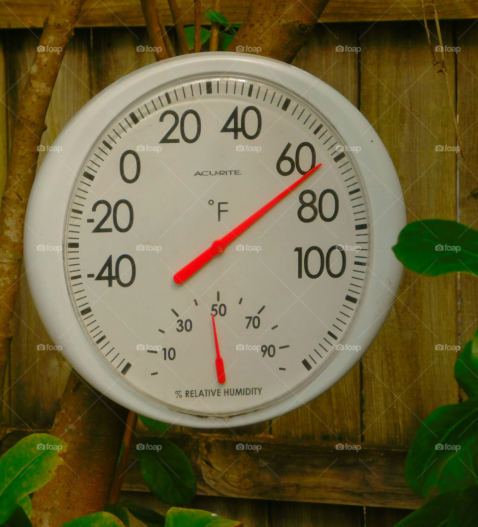 Temperature is rising!
This thermometer reads the temperature and humidity!