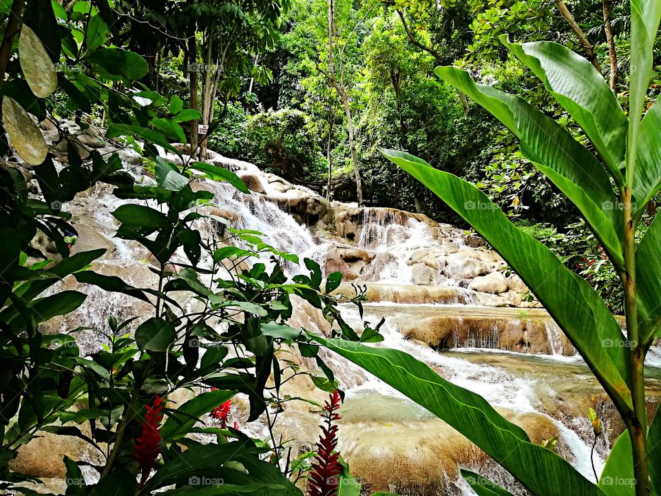 Dunn's River Falls and Park, Ocho Rios, Jamaica 2016