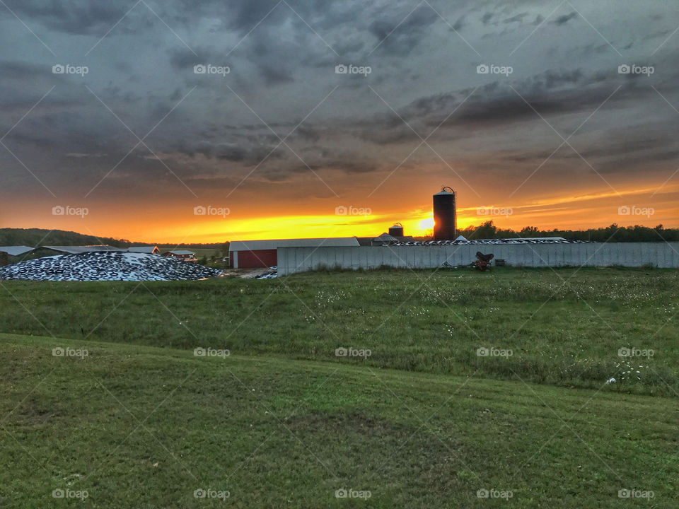 Sunsets on the farm