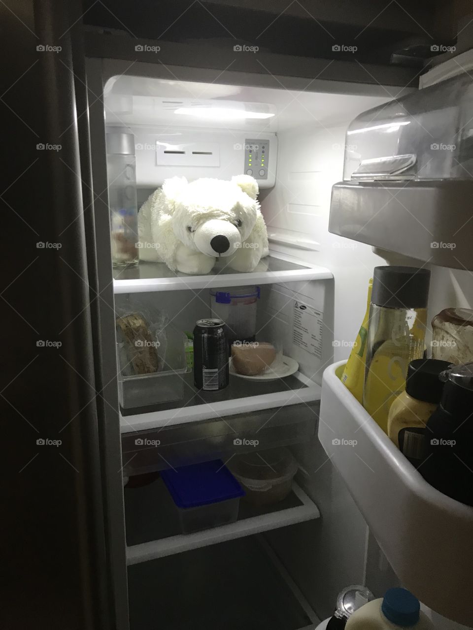 Polarbear happy in fridge 