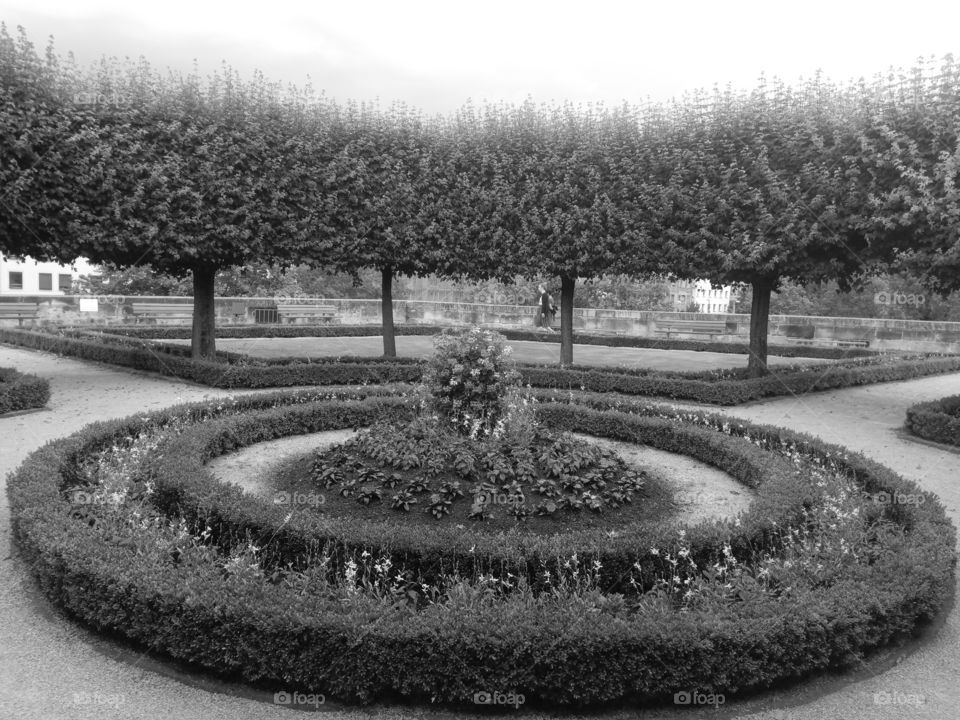 Visiting a magical garden in black and white