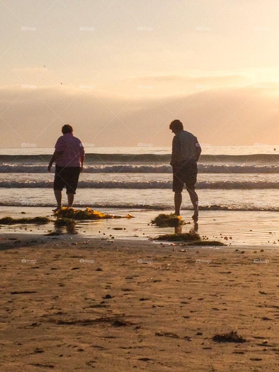 Sunset Wading