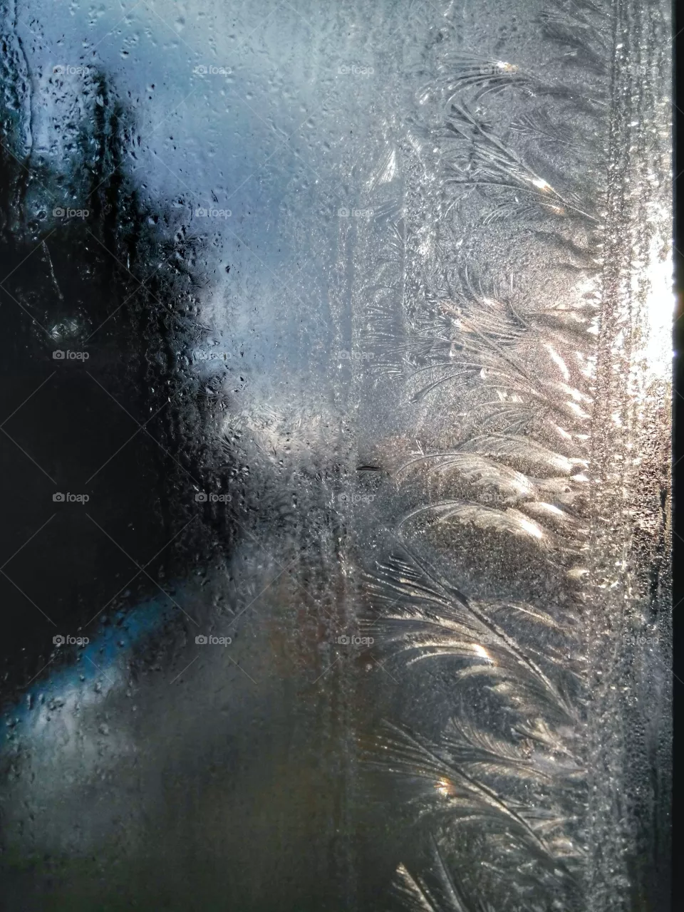 Window