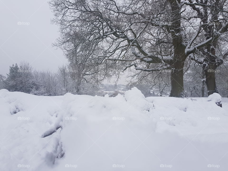 Winter  in birmingham, uk