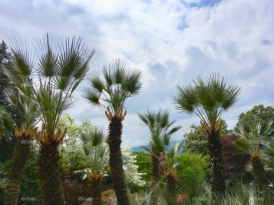 The elegant garden of Villa Giulia on the shores of Lake Maggiore in Pallanza