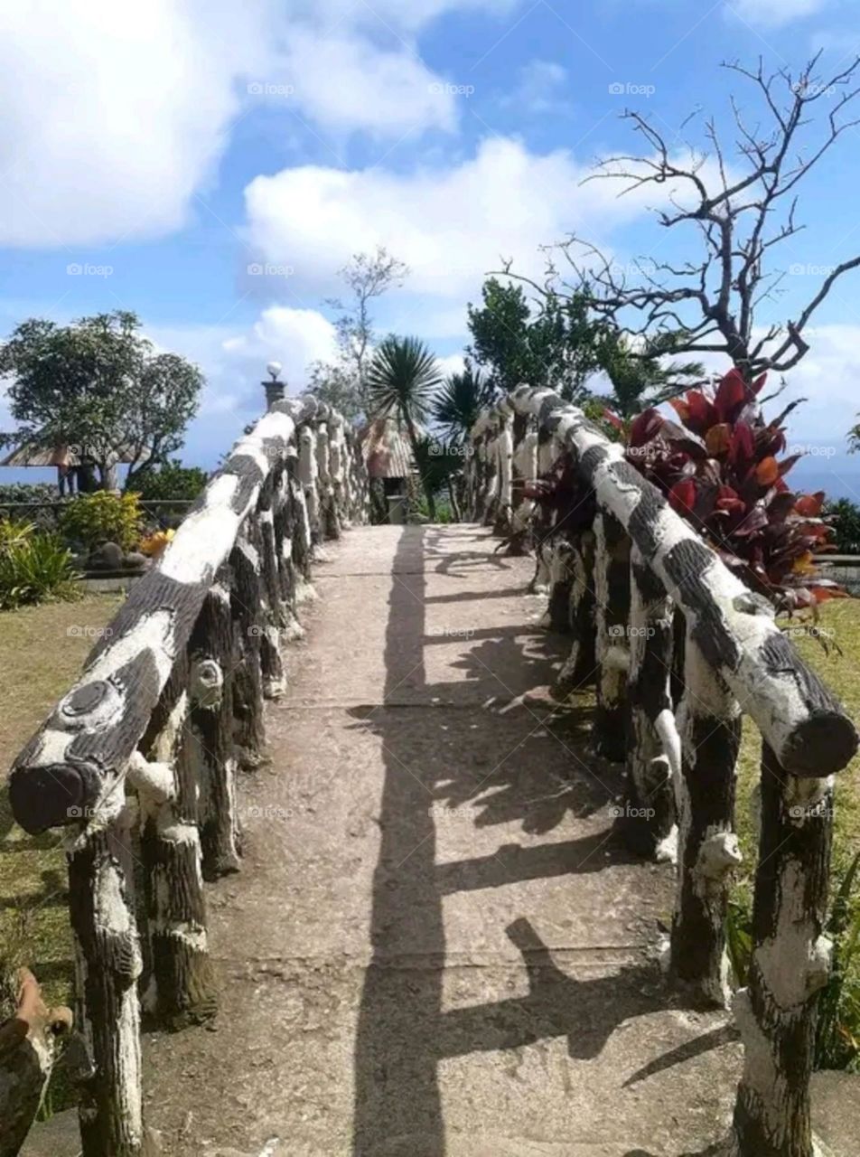 A most beautiful and attractive view in the garden.