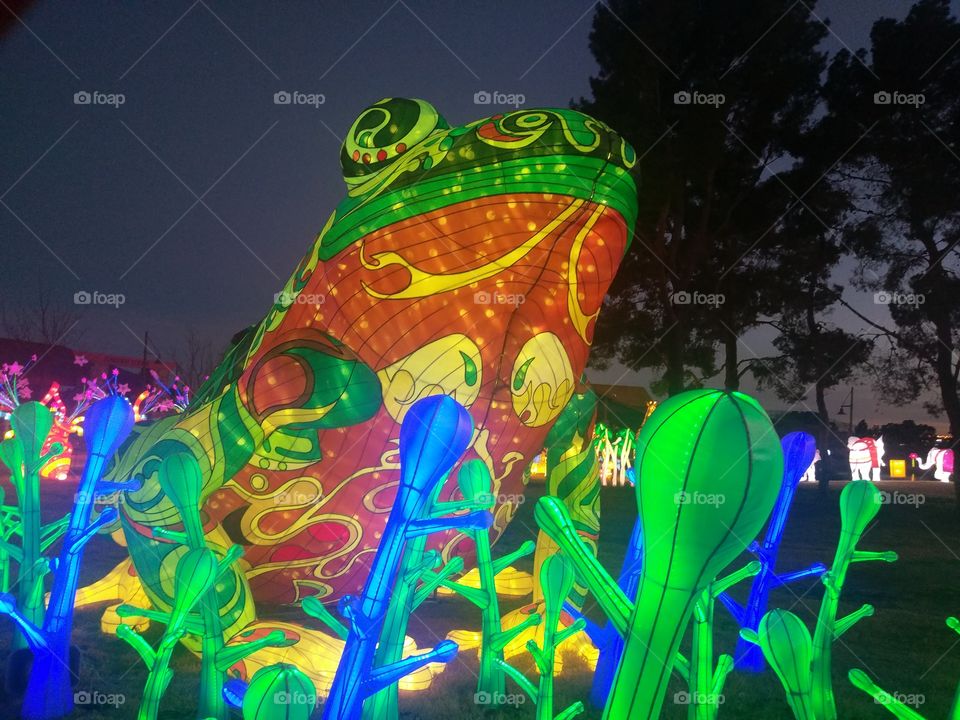 Light changing frog at Chinese Lantern Festival