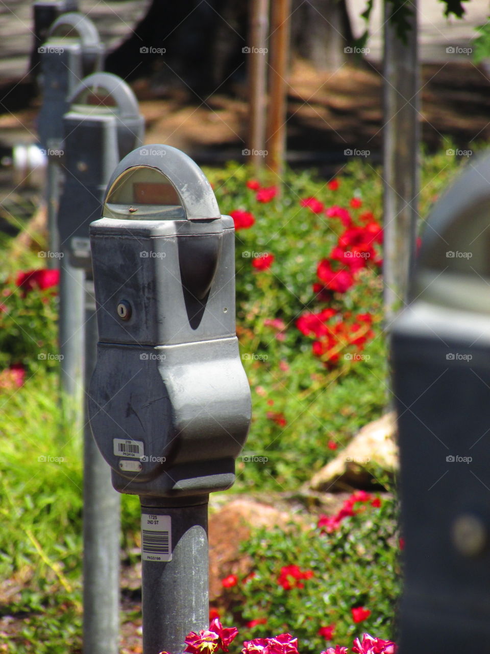 parking meters