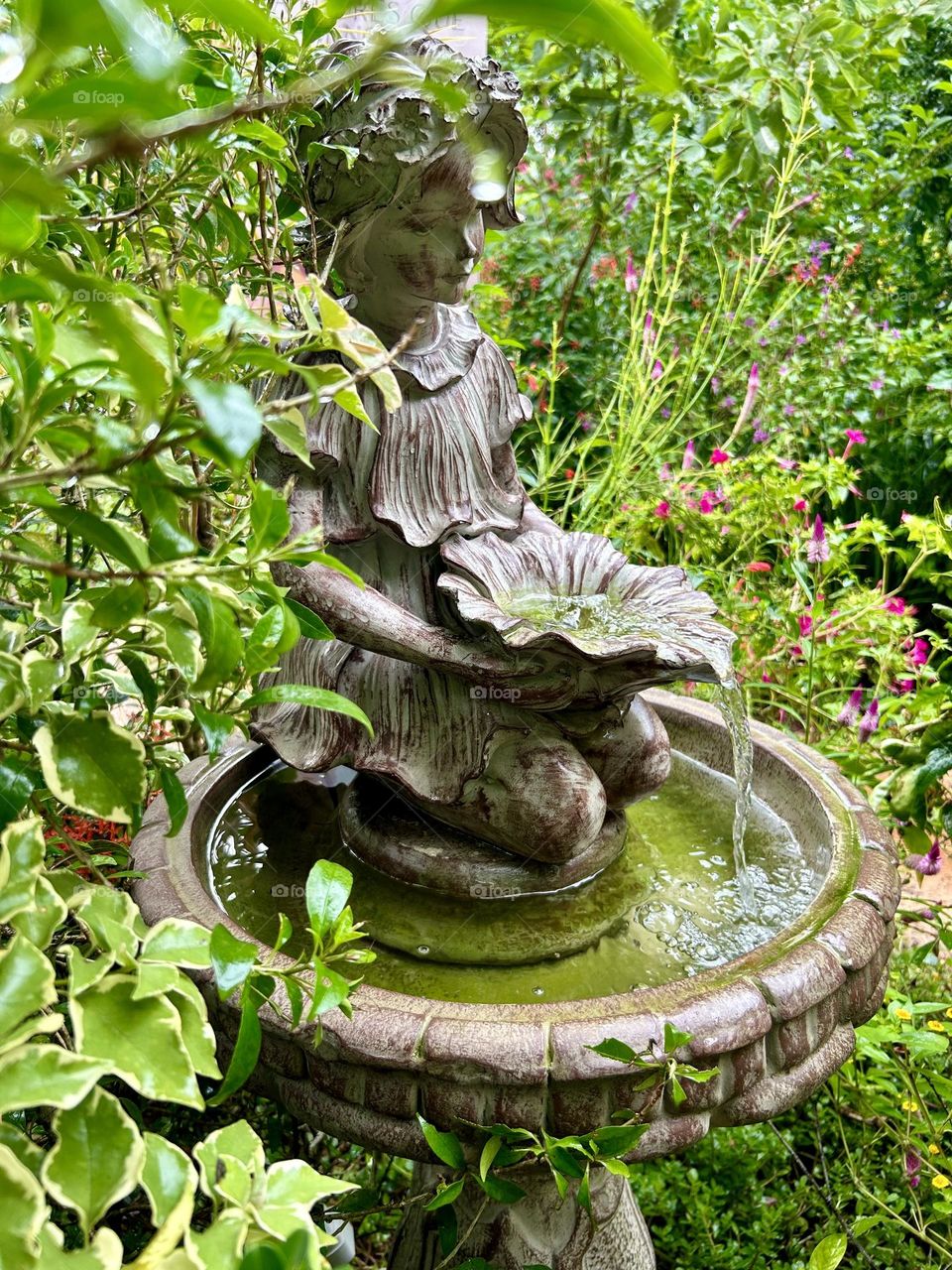 fountain decorating the garden