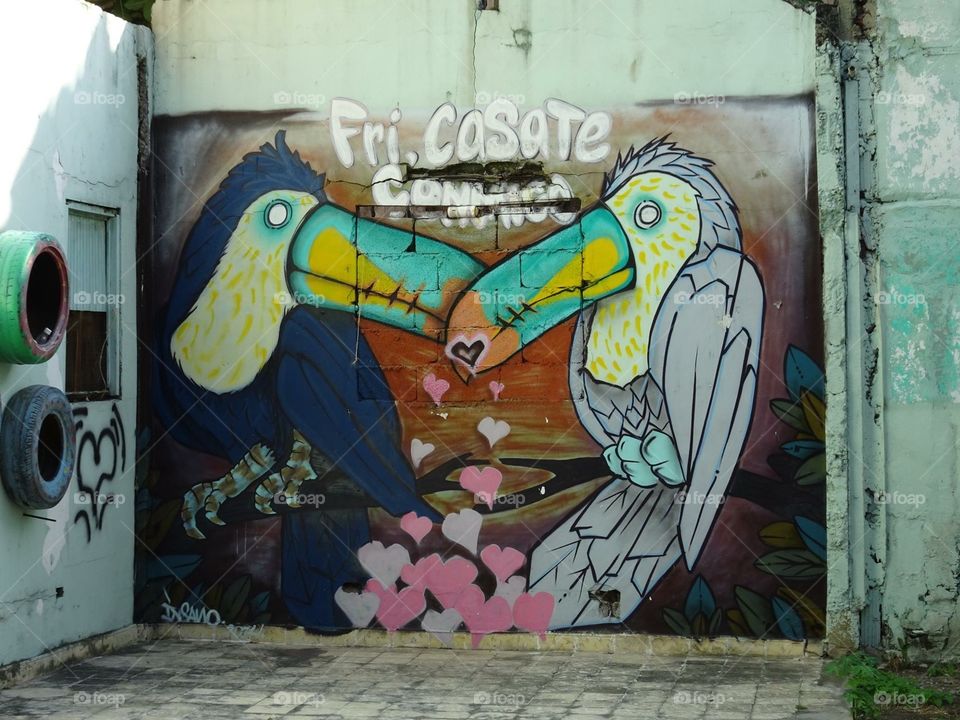 Toucan graffiti