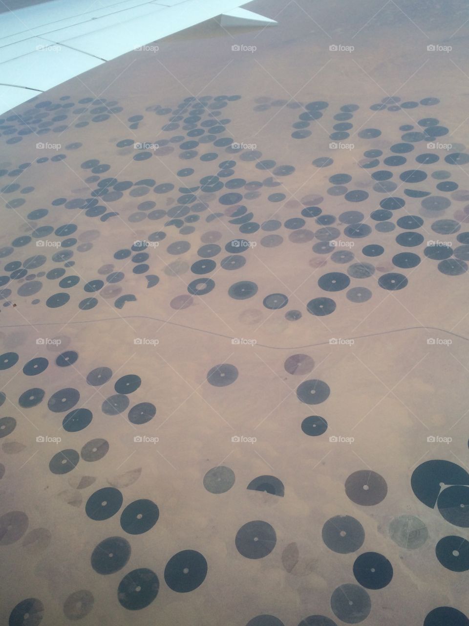 Arial View of the Farming Land in Jordan