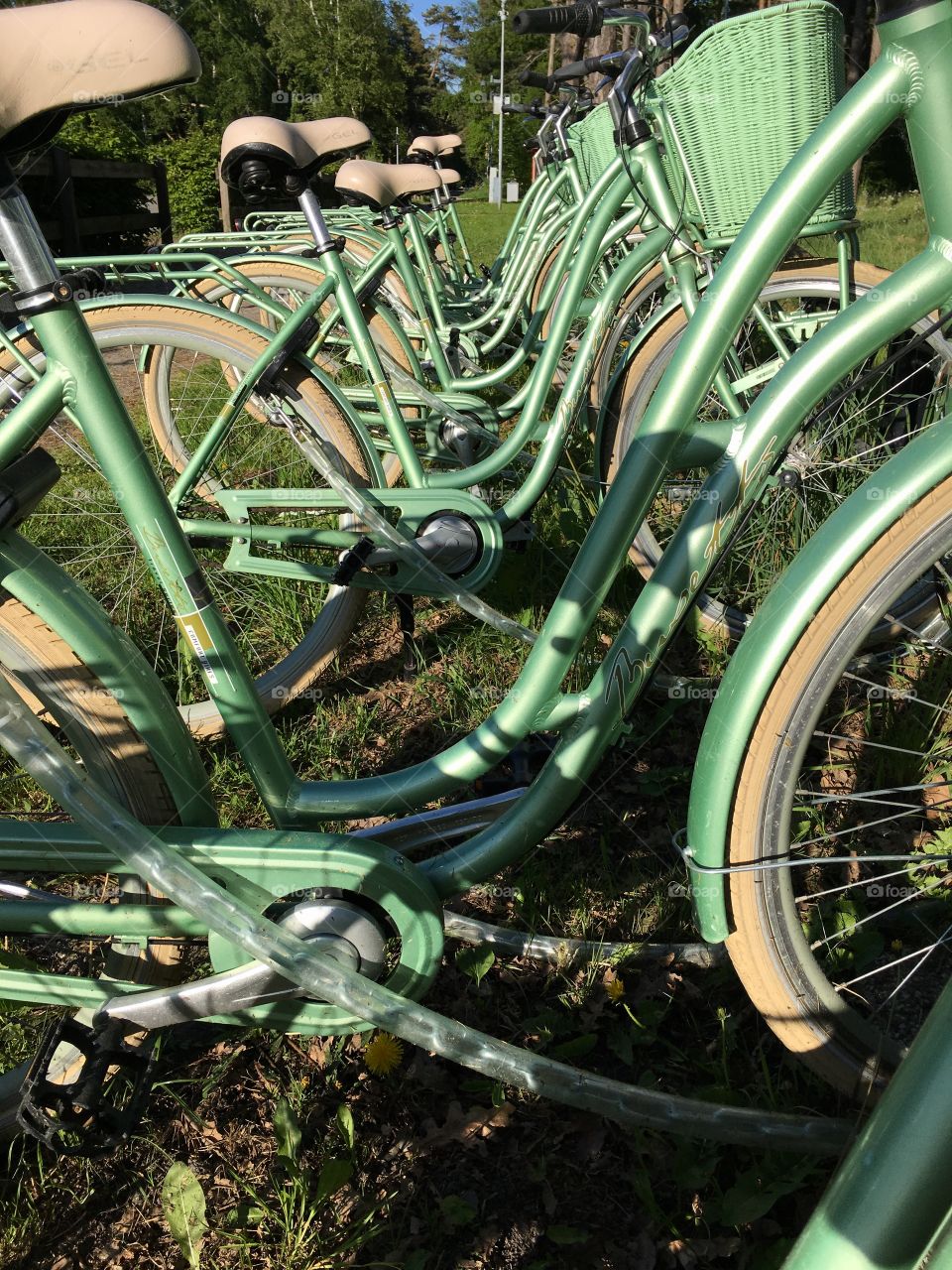 Green bikes