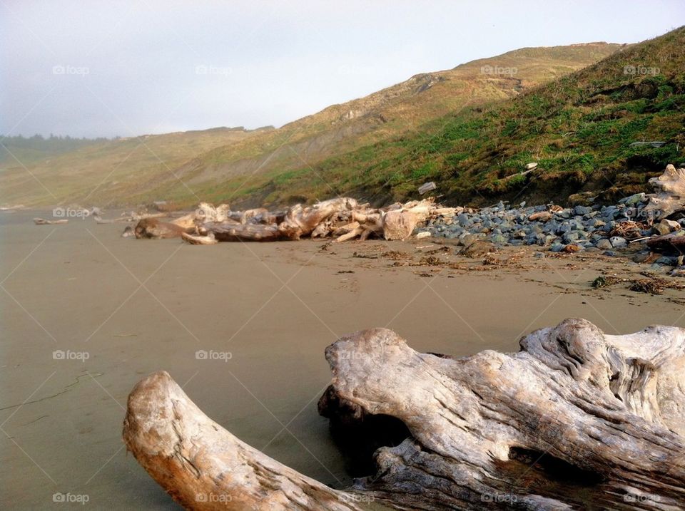 Cape Blanco Coastline