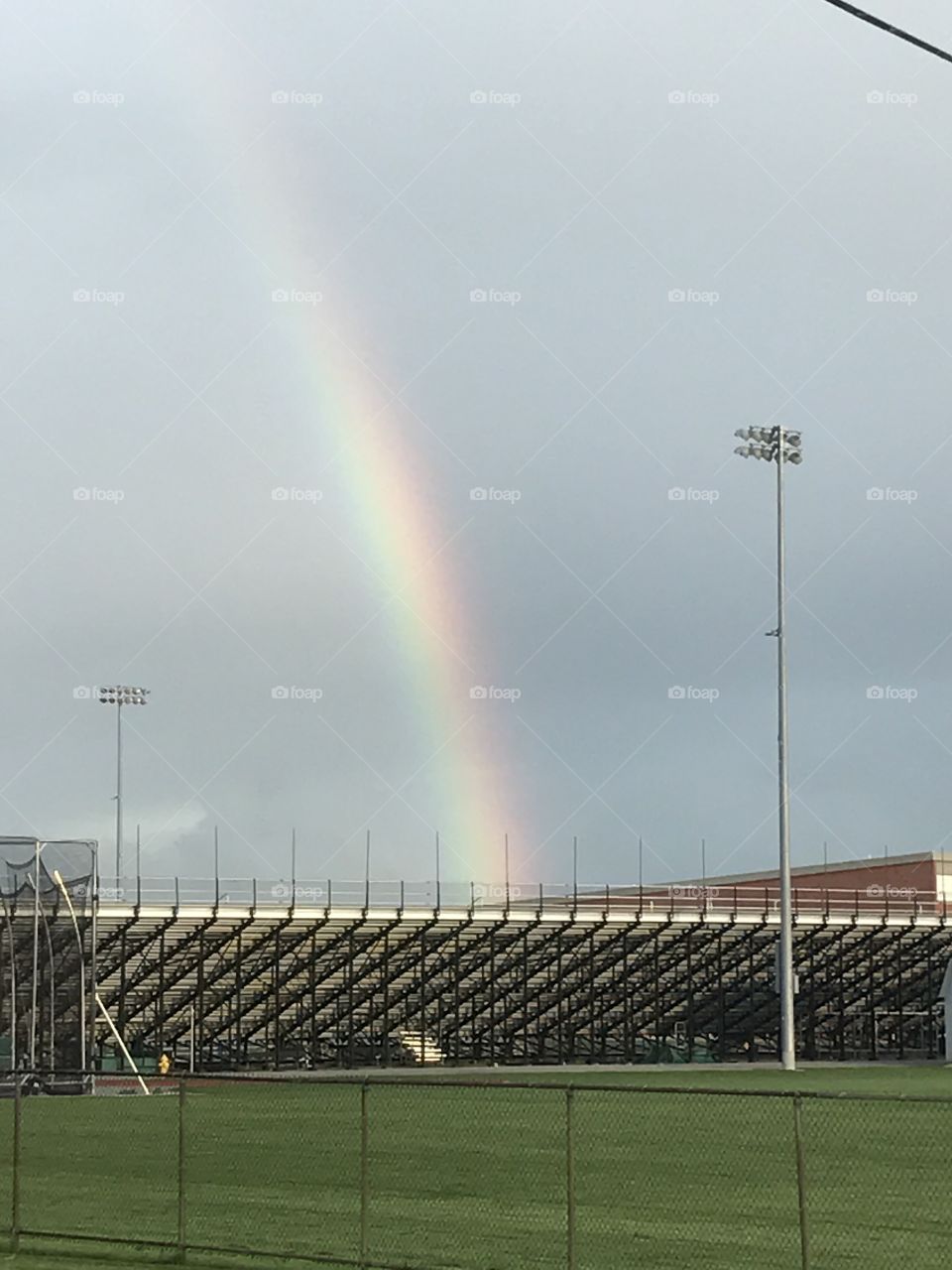 Vibrant Rainbow 