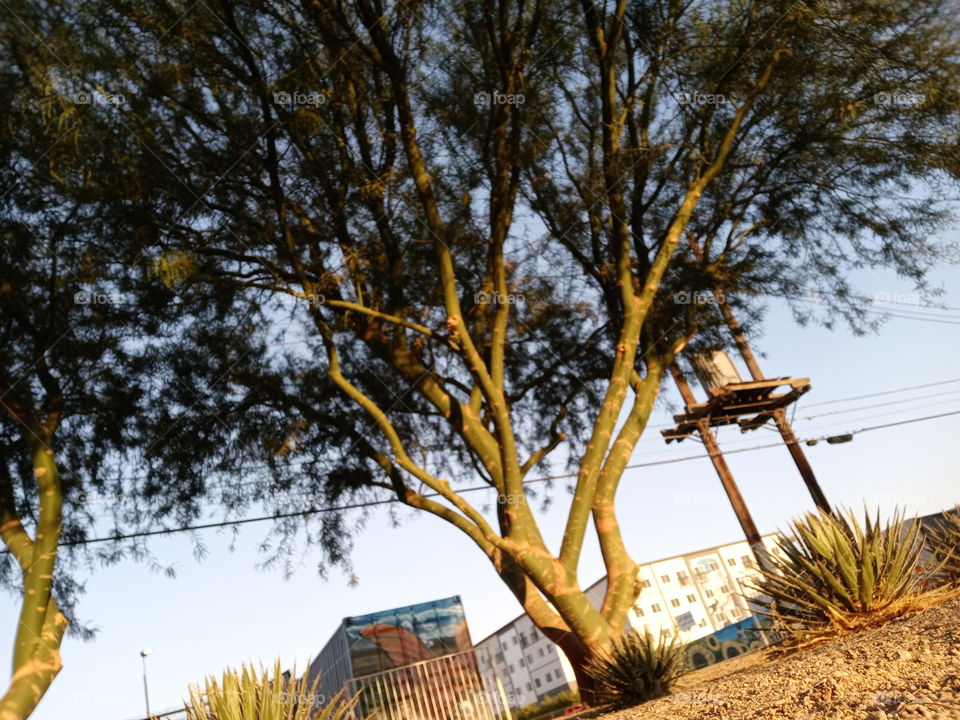 and sometimes you just need to see it from the other trees personal perceptions