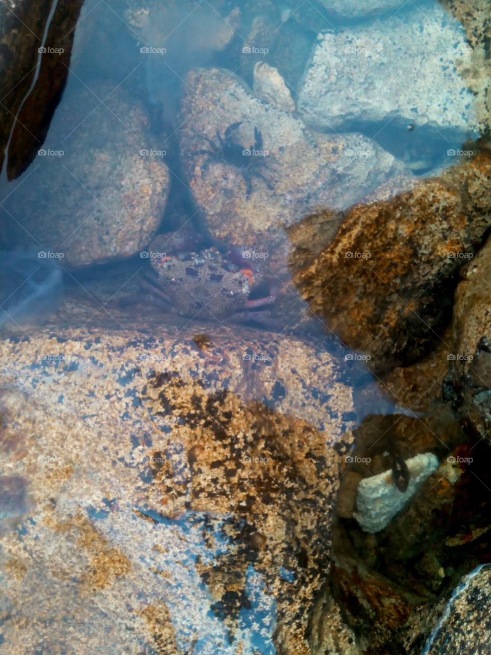 Rock, No Person, Desktop, Water, Nature