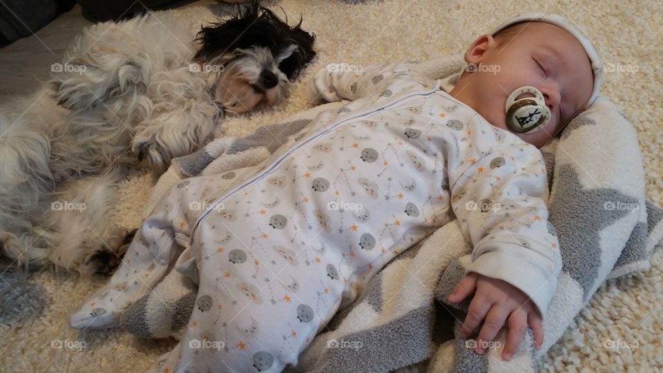 Baby and dog best friends forever