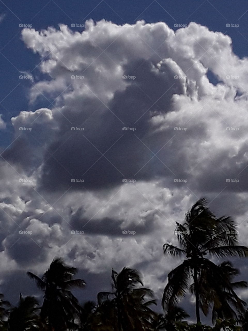 majestic clouds in the bright rays of the sun evoke extraordinary feelings.