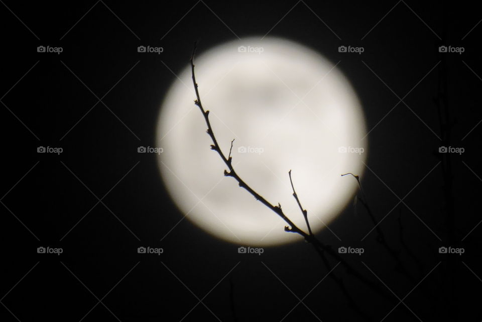 Fullmoon April 2020