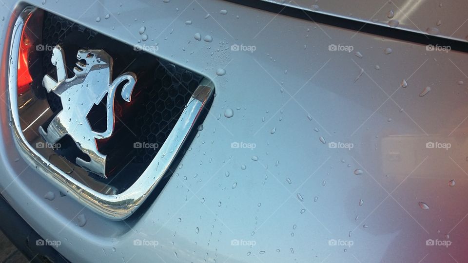 water droplets on Peugeot car